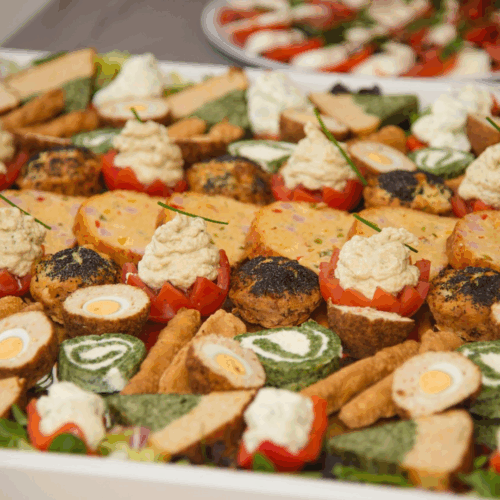 VEG PALTTER